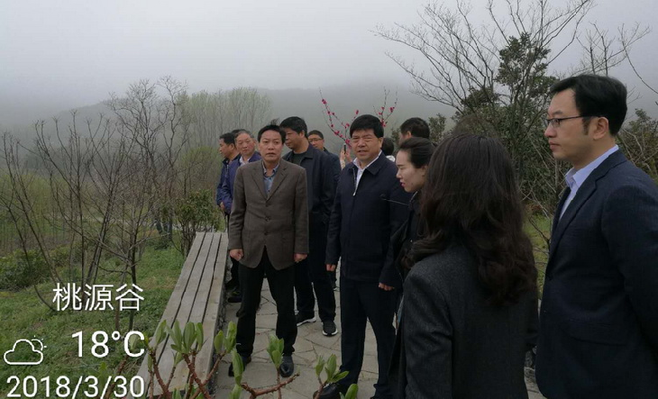 参观浦口区美丽乡村桃源谷
