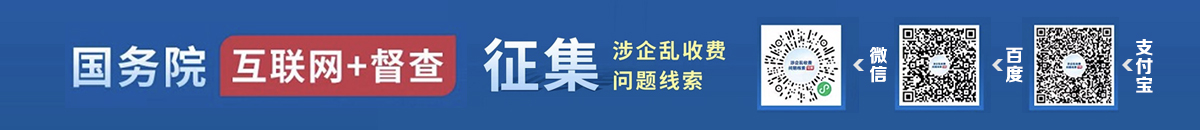 互联网+督查