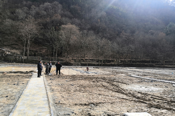 督导木耳产业基地建设