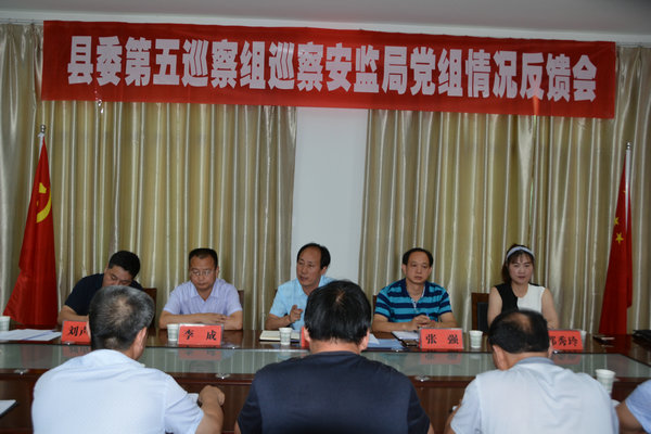 县委第五巡察组向县安监局党组反馈巡察情况-陕西省商洛市镇安县